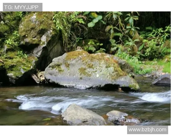哥斯达黎加足球的崛起与发展历程探讨及未来展望 哥斯达黎加足球的崛起与发展历程探讨及未来展望
